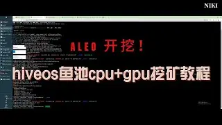 ALEO开挖使用hiveos挖矿算力爆炸！使用cpu+gpu进行aleo挖矿，鱼池aleo挖矿教程详解