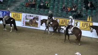 EPHC 2012 Trail und Pleasure von A special Zip auf der EUROPEAN PAINT HORSE CHAMPIONSHIP