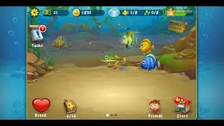 Pocket Fishdom (by Playrix Games) - free offline fish tank simulation game for Android - gameplay.