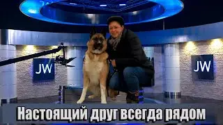 Неожиданные истории от Светланы! Друзья есть, но не там