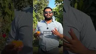This one flower can protect your crop 🌼 (Pest Control Hack)