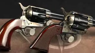 Taylor's Firearms Gun Introduction for Dealers