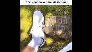 Essa tartaruga realmente tá bem brava 😅 #edit #fyp #humor #animals