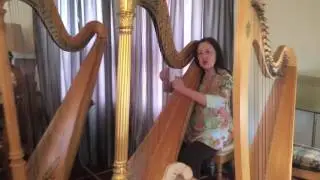 SALZEDO HARP LESSON by VictoriaHarpist.com