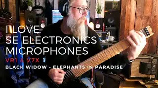I love sE Electronics microphones!!!
