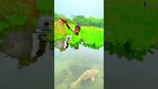 Amazing Basket Fishing Technique in the Village🧺🎣|Traditional Basket Fishing in village🐠🏞️|@sati-007