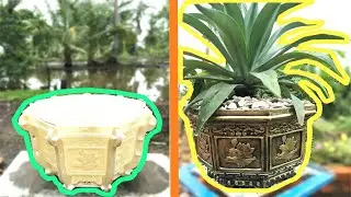 DIY Pots Beautiful At Home | Techniques Molded Pots Cement For Beginner