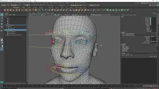 Face rig at Turn10 Studios