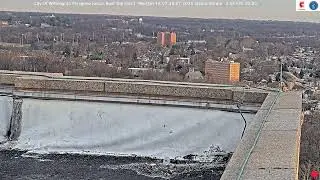 Wilmington Falcon Cam: 2026.01.14
