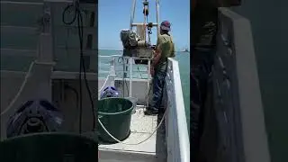 What we were looking for and what we got in Gulf coast