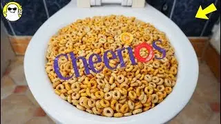 Will it Flush? Lots Of Cheerios