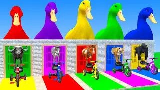 Long Slide Game With Cow Elephant Gorilla Hippopotamus Tiger 3d Animal Game Funny 3d Animals