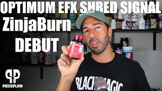 The First ZINJABURN Fat Burner | Optimum EFX SHRED SIGNAL