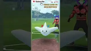 Mamoswine In Pokemon Go Master League | Gyarados In Pokemon Go Master League | Pokemon Go PVP | #pvp
