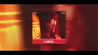 AFROBEAT INSTRUMENTAL 2022 -  LABIAL  l Wizkid x Rels B Type Beat]