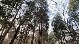 빽까빽까님의 라이브 방송. 유튭음악&캐럿ai 음악/ 듣고  보기만 하기. 감사합니다^^