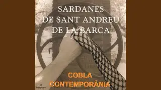 Anem a saltar