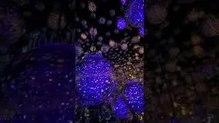 Microcosmoses Wobbling Light in teamLab Borderless TOKYO, Azabudai Hills