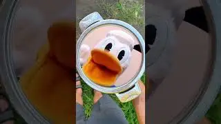 Pedro Pedro Pedro Pe 🦆🦝 #duck #funny