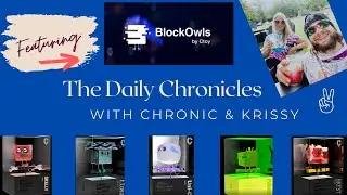 Daily Chronicles' 2ND VIDEO Featuring BlockOwls from Cardano. CNFT Community NFT CryptoCurrency ADA