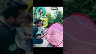 ये गर्भवती बंदरी दोनों पैरो से पैरालाइज है  बंदरी ने फाडी मच्छरदानी @karnalrockstars