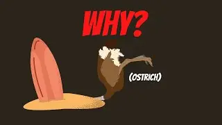 Why Do Ostrich Bury Their Head in The Sand?