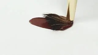 Color in Motion: Rum Shadow