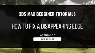 Basic 3ds Max tutorial - How to fix a disappearing edge. The edges of a plane are not showing.