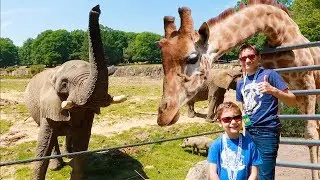 VLOG - ON NOURRIT LES ÉLÉPHANTS ET LES GIRAFES ! - ZooSafari de Thoiry