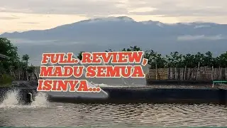 FULL SHARE, MADU SEMUA ISINYA..