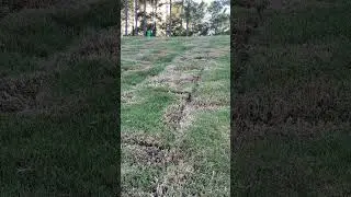 First lawn mow after Tiftuf sod!