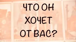 4 КОРОЛЯ. МЫСЛИ,ЧУВСТВА,ДЕЙСТВИЯ.  Что Он хочет от Вас ? #таро 