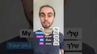 Possessives in Hebrew! 🇮🇱 Did you know them all? #hebrew #learnhebrew #ivrit #shorts