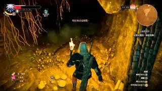 The Witcher 3: Wild Hunt 20/9/2015(B)