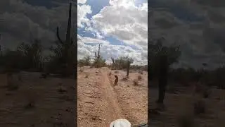 Solo Riding