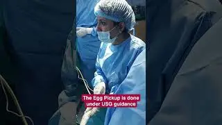 Egg pick-up or ovum pick-up is done to collect the female&rsquo;s eggs for IVF treatment.