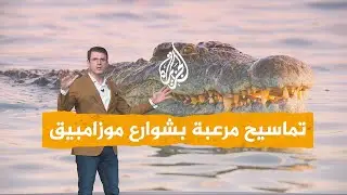 شبكات | تماسيح مرعبة في شوارع موزامبيق  وتقتل 3 أشخاص