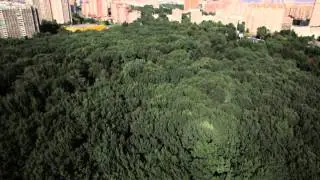 видео для Михаила (Москва)
