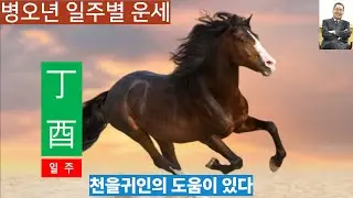 병오년운세 ㅣ정유일주, 천을귀인이 도우니 무엇이든 이룬다