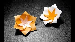 Origami Modular Flowers Instructions