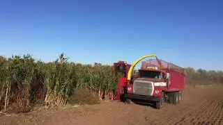 Silage Harvest 2017