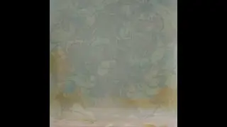 The Caretaker - Mournful cameraderie - at 95% speed