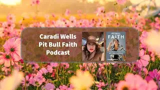 Pit Bull Faith Podcast - Today's Word: Blessings!
