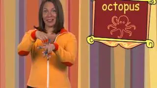 octopus