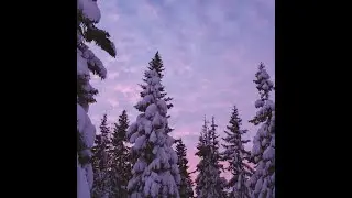 [FREE] Lo-Fi x Powfu Type Beat &mdash; 