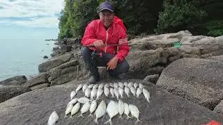Mancing Menebing di Spot Parking Seringgit Part 2| Penang Ultralight