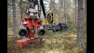 LogMax 4000T harvester fej