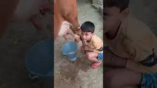 choti choti gaiya fytgg ft #love #song #funny