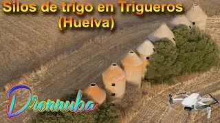 SILOS MILENARIOS DE TRIGO EN TRIGUEROS (HUELVA)