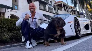 Muscletonebullys episode 6 cars on 5th and American bully GrCh  king kong steeling the event